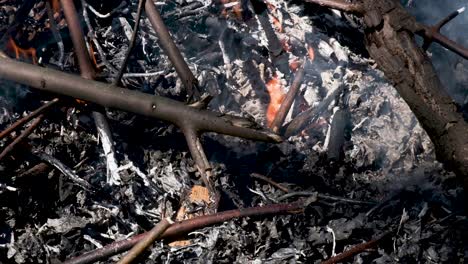 Close-up-of-a-backyard-bonfire-|-SLOW-MOTION