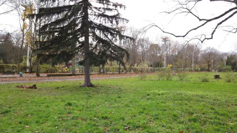 pan lento a la izquierda en un parque en berlín alemania naturaleza hojas muertas árboles colores de otoño hd 30 fps 8 segundos