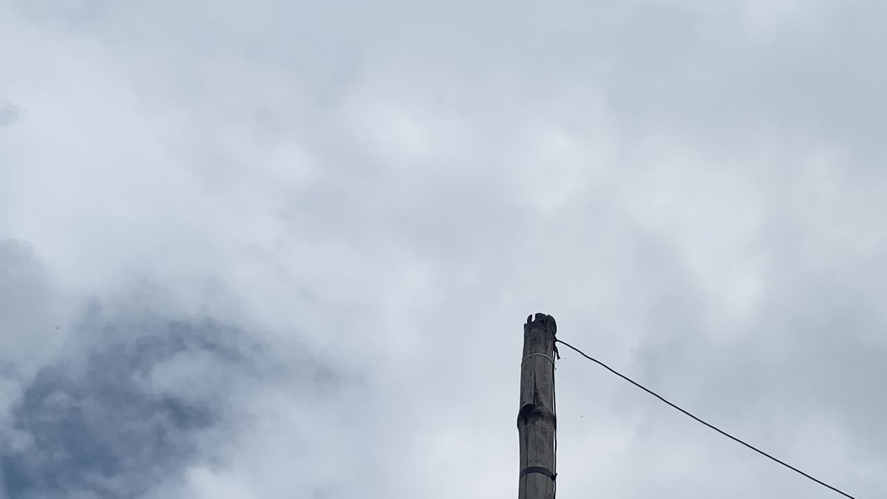 竹でできた電柱 空を飛んでいる目に見える鳥