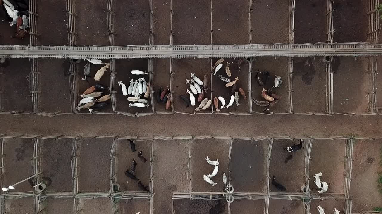 가축 경매의 항공 이미지