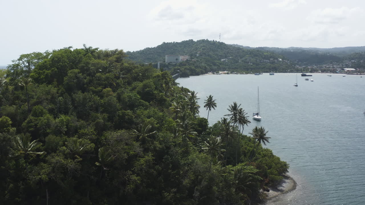 península oriental de samaná en república dominicana - toma aérea