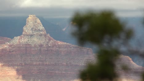 focus on a plant and then to the grand canyon and back again