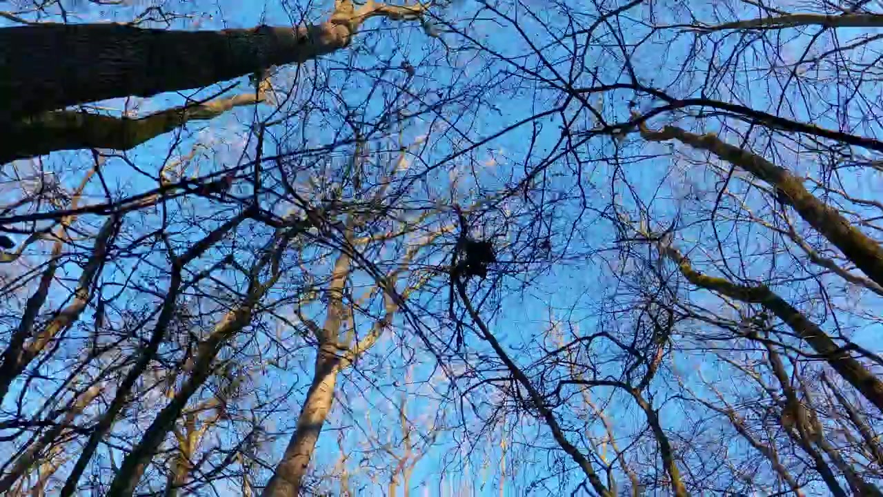 POV-opptak av fottur gjennom et frostdekket vinterlandskap i England