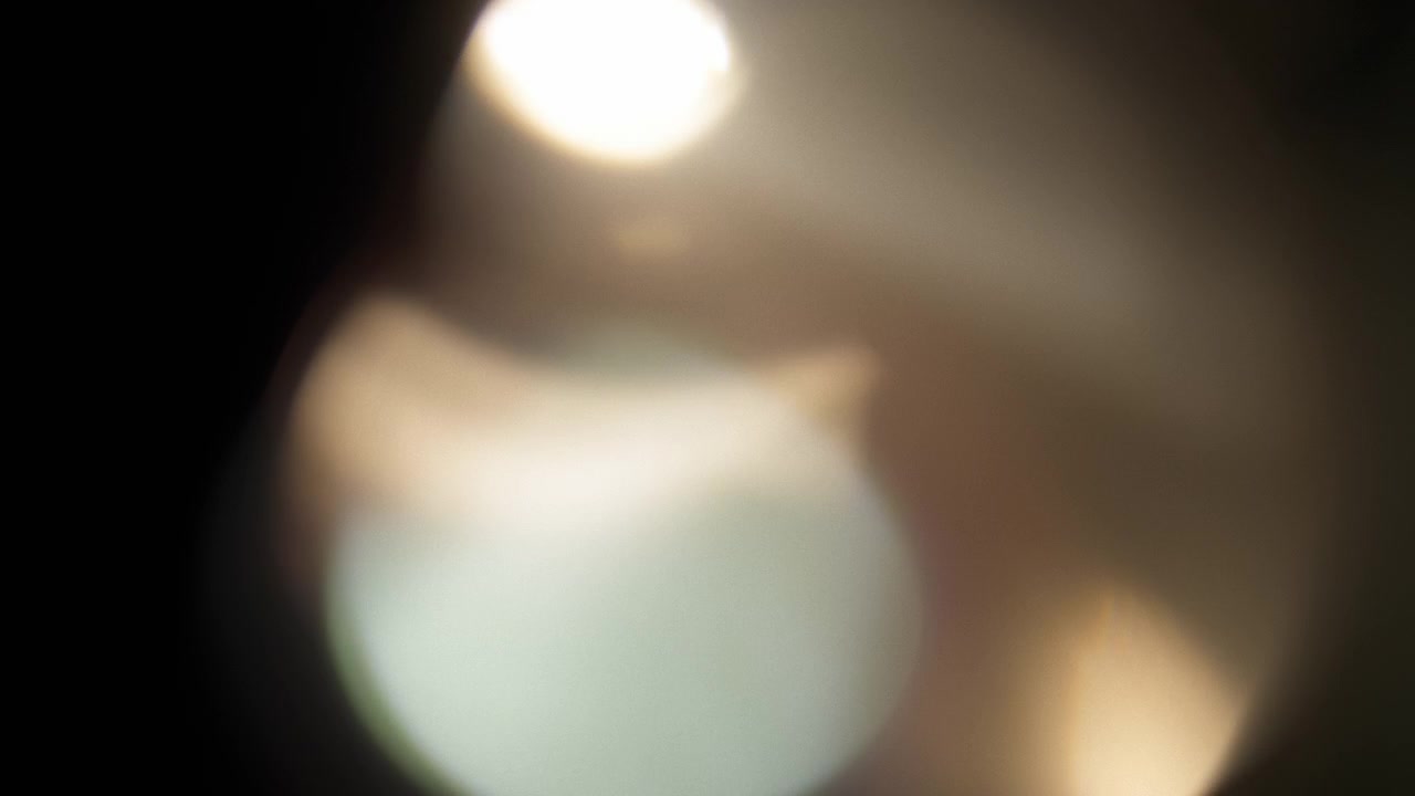 Pack of gradient rainbow prism overlays and light leaks in slow motion