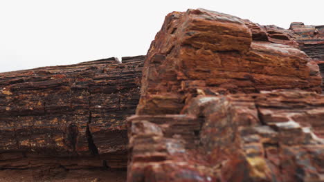 Giant-wood-log-at-Petrified-Forest-National-Park-in-Arizona,-Close-up-shot