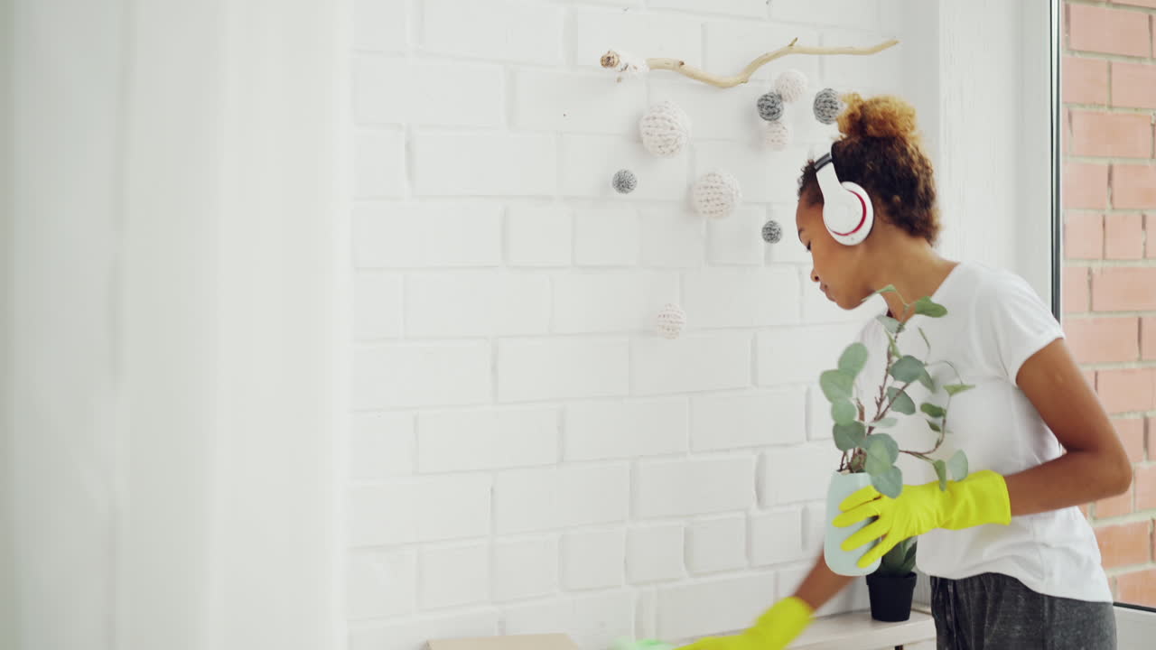 Woman Cleaning and Arranging House Plants