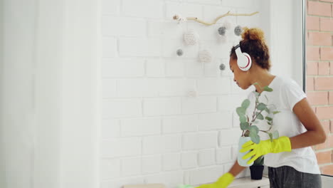 woman cleaning and arranging house plants