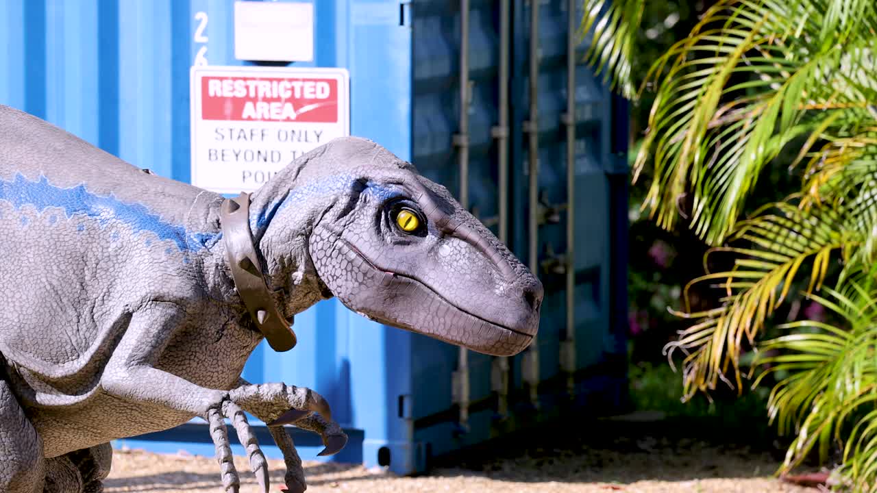 A realistic animatronic velociraptor moves cautiously beside a blue shipping container and palm plants in bright outdoor daylight at a dinosaur park