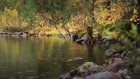 Regentropfen-Fallen-Auf-Eine-Stille-Seeoberfläche