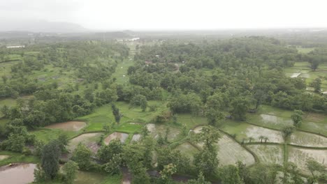 birds eye drone green mountans and fam rice field in rain at manor maharashtra india revel shot