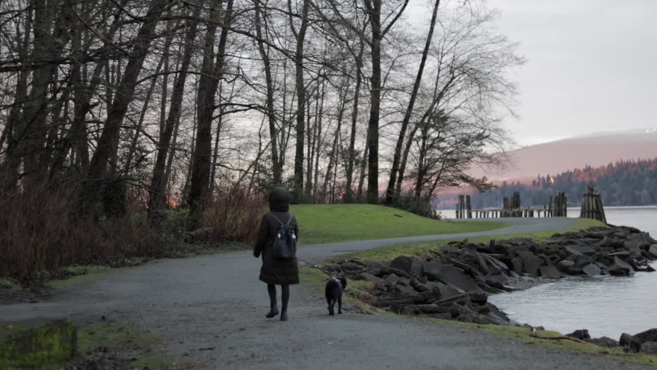 mujer joven paseando a su pequeño perro negro en un arnés azul junto al océano pacífico en un exuberante parque verde en una agradable tarde de invierno en vancouver, canadá