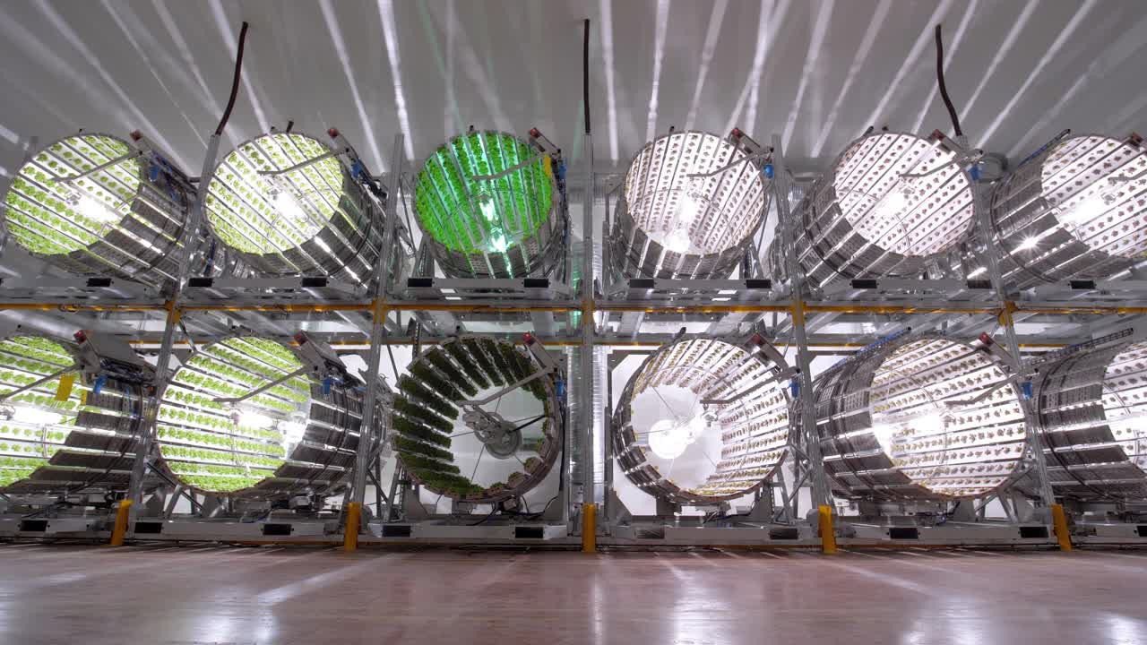 큰 플라드라이트는 주변을 밝게 합니다.