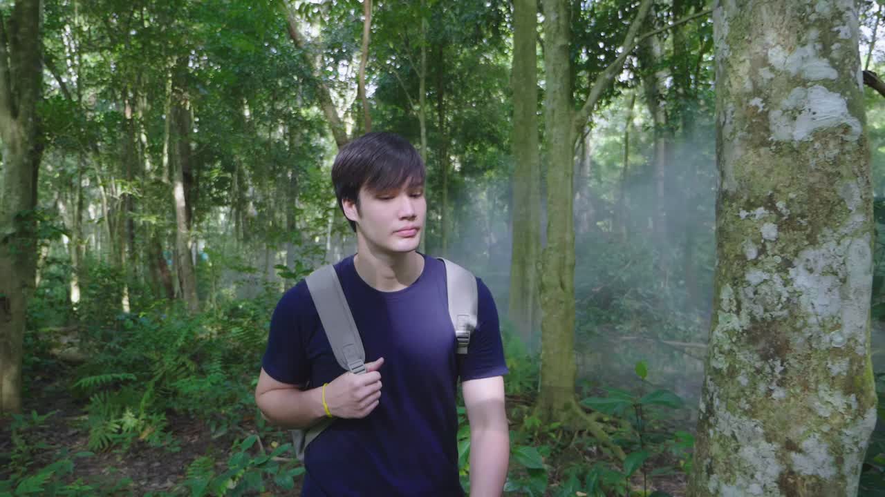 Asian Man Hiking In Forest, Slow Motion
