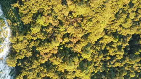 Vista-Aérea-Mirando-Hacia-Abajo-Sobre-Un-Bosque-Al-Pie-De-Un-Acantilado-En-Las-Montañas,-Imágenes-De-Drones