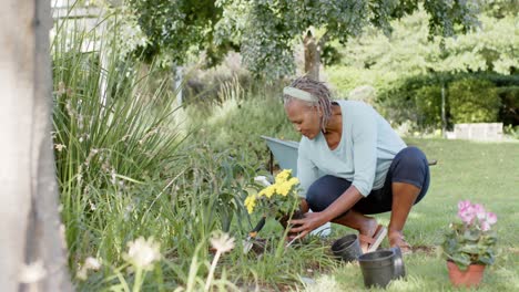 Feliz-Mujer-Mayor-Afroamericana-Haciendo-Jardinería-En-Un-Jardín-Soleado,-Cámara-Lenta