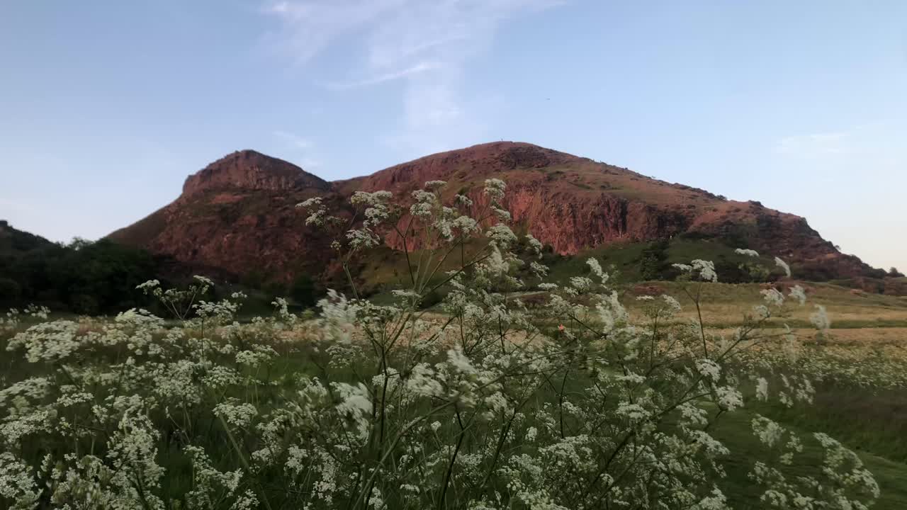 enchanting beauty of Arthur's Seat at sunset, as the golden light illuminates the swaying wildflowers, creating a captivating and serene scene