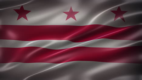 la bandera de washington, d.c.