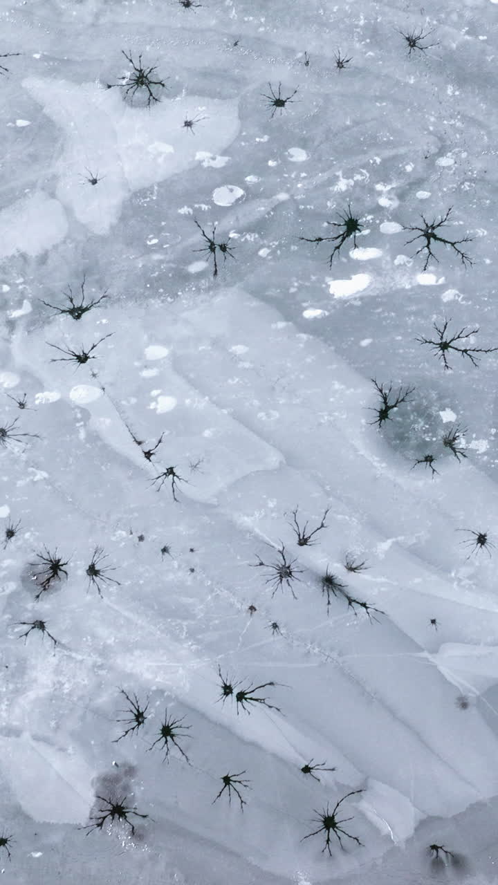 Aerial drone view of the Toblacher See lake frozen in the municipality of Toblach in South Tyrol, Italy. Vertical