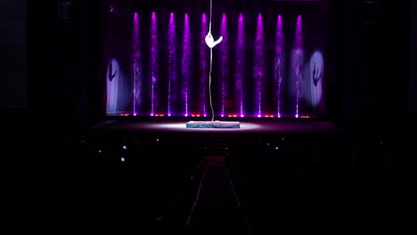 artist performs a trick in the circus