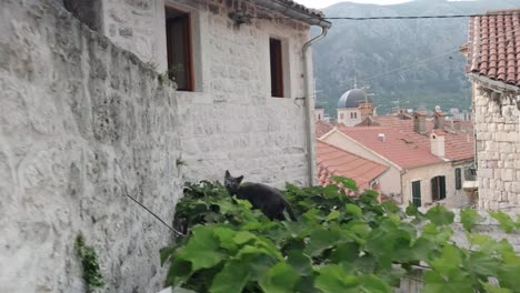 Hermosa-Bahía-De-Kotor-En-Montenegro-Durante-Una-Puesta-De-Sol-En-Los-Balcanes