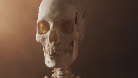 Video-of-close-up-of-halloween-skull-and-skeleton-and-copy-space-on-brown-background