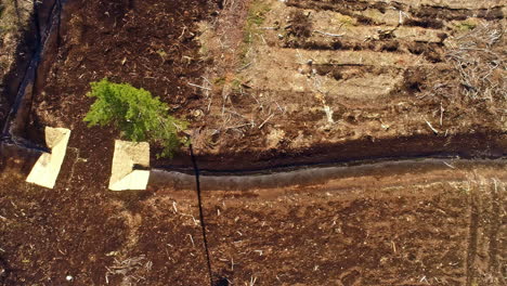 aerial drone tops down deforested soil earth landscape after harvesting dry land cut down trees