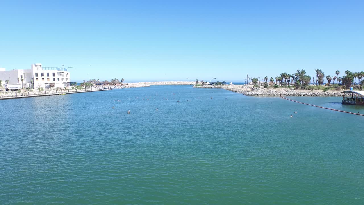 Aerial shot of birds in the Marina of San Jose del Cabo, Baja California Sur