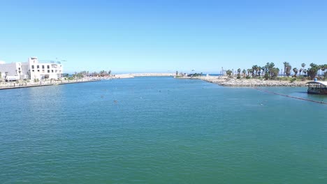 Aerial-shot-of-birds-in-the-Marina-of-San-Jose-del-Cabo,-Baja-California-Sur