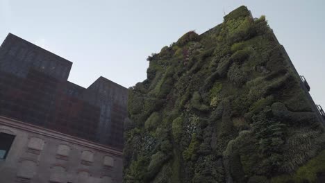 Vertikale-Lebende-Gartenmauer-Außerhalb-Des-Caixa-Forum-Madrid-In-Spanien