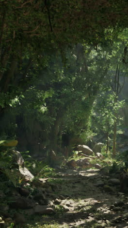 a scenic dirt road winding through a lush forest in new zealand