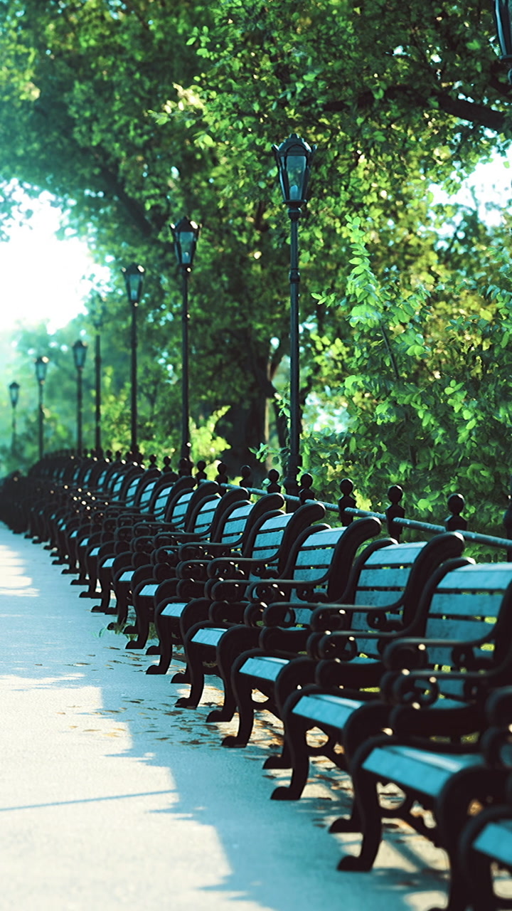 Benches line a pathway in a park under bright sunlight during daytime