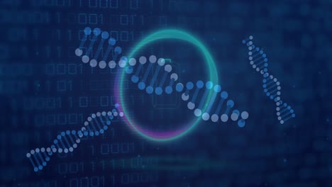 Animation-of-dna-strands-with-data-processing-over-binary-coding