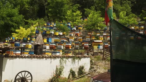 beekeeping in bulgarian terraced apiculture farm with national flag