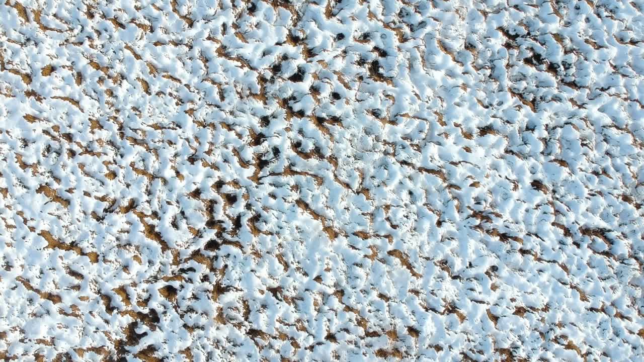 pantanos cubiertos de nieve crea un patrón intrincado en el musgo de turba