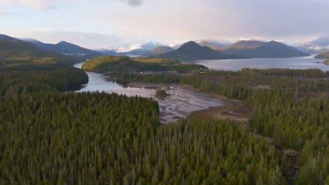 the forests along the coast of bc