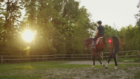 este es un paseo inusual. una mujer a caballo está montando en su caballo. las increíbles emociones de la equitación.