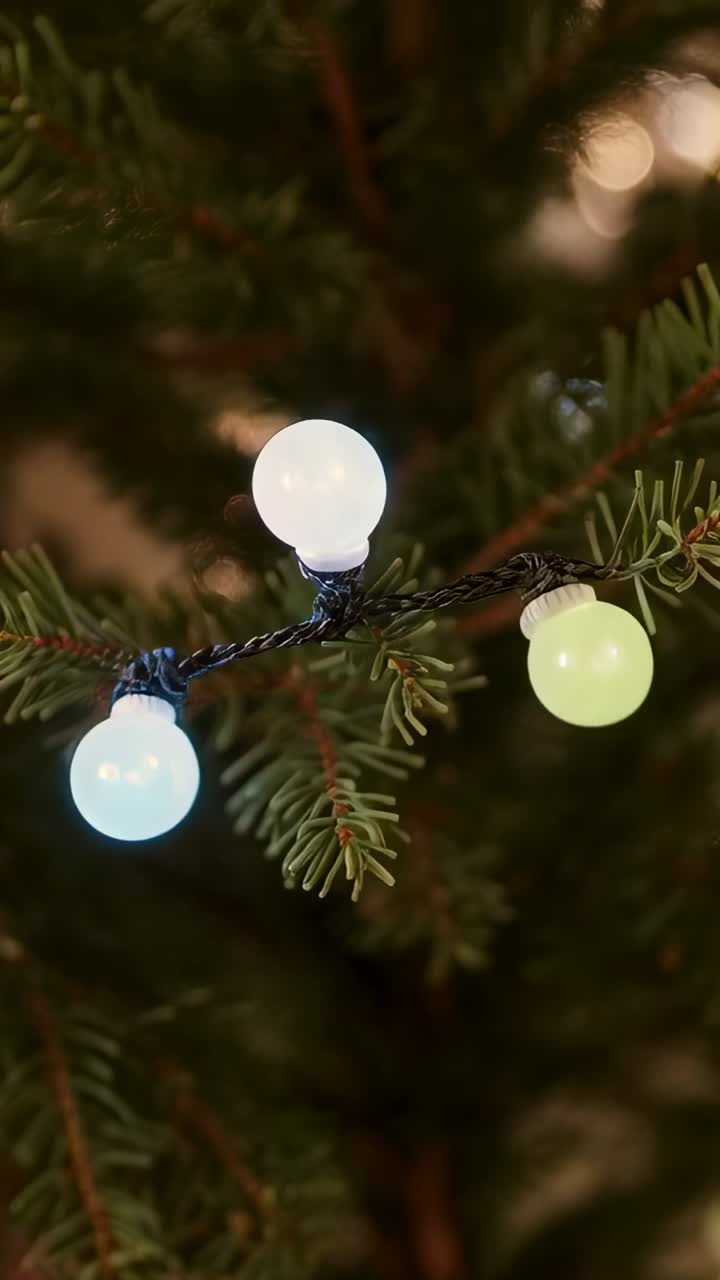 Vertical video: Shifting camera revealing globe LED lights cycling on fir branch in dim room