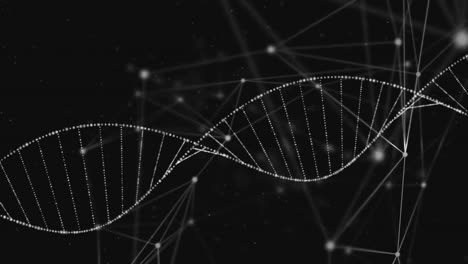 animación de la red de conexiones y la cadena de adn en fondo negro