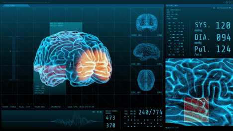 brain scan 3d visualization with vital signs