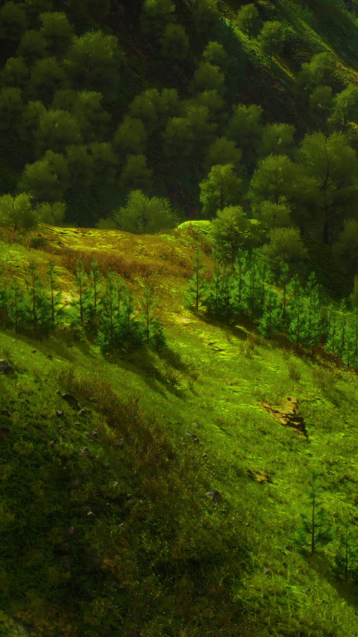 un bosque verde exuberante en un día soleado