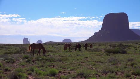 los caballos pastan con la belleza natural de monument valley utah en el fondo 2