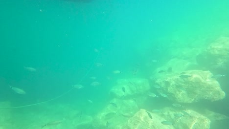 boat and underwater rocks with fish