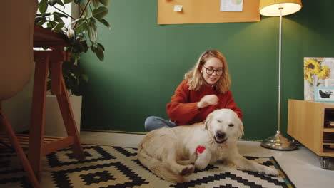 woman caring for a golden retriever dog at home