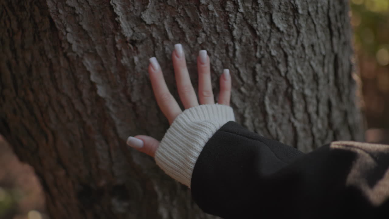 어여쁜 아가씨가 가을 나무에 손을 대고 사려 깊게 거친 껍질을 느껴요. 따뜻한 햇살을 받는 매니큐어를 바른 손톱과 어두운 코트, 자연과 계절과의 평온한 교감이 느껴지네요.