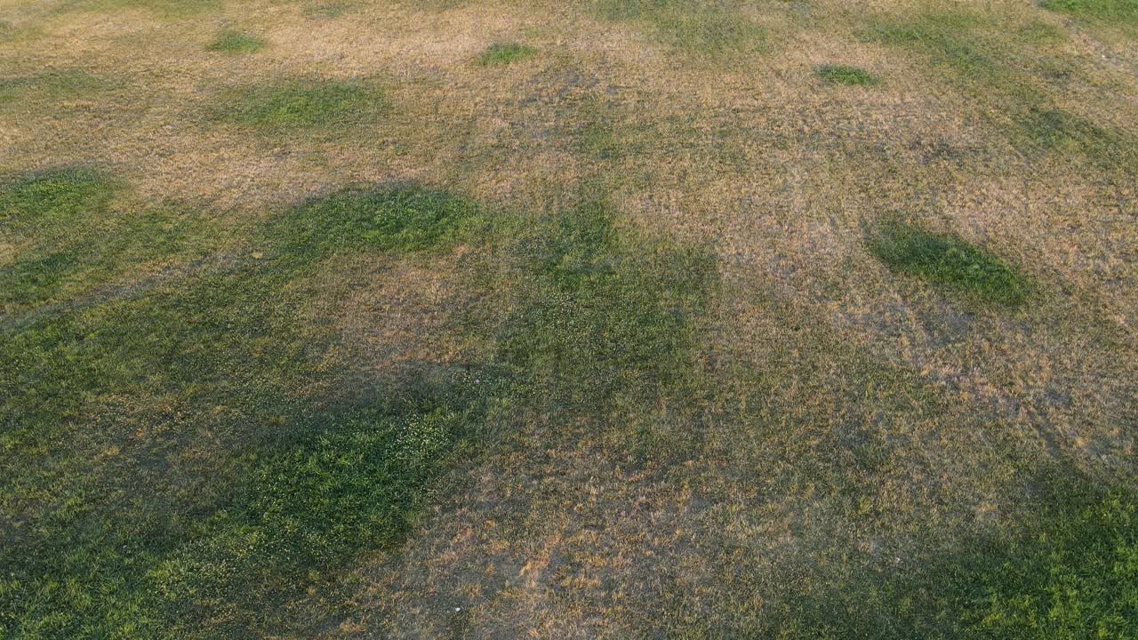 조감도 도시 공원 정원 1