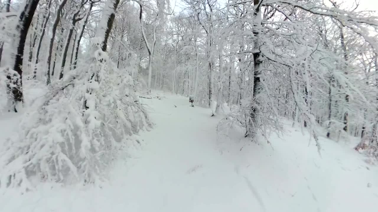 Uomo che cammina attraverso una bellissima foresta invernale, VR360, 360VR, Video 360, 360 gradi, VR, effetto piccolo pianeta
