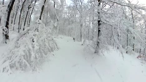 아름다운 겨울 숲을 고 있는 남자, 360° 영상, 360° vr, 작은 행성 효과