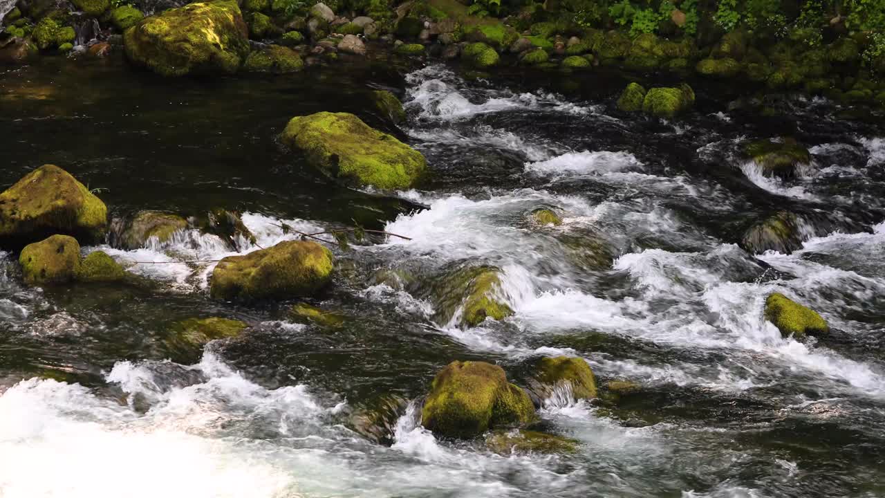 A valle su un fiume roccioso in primavera. Primo piano