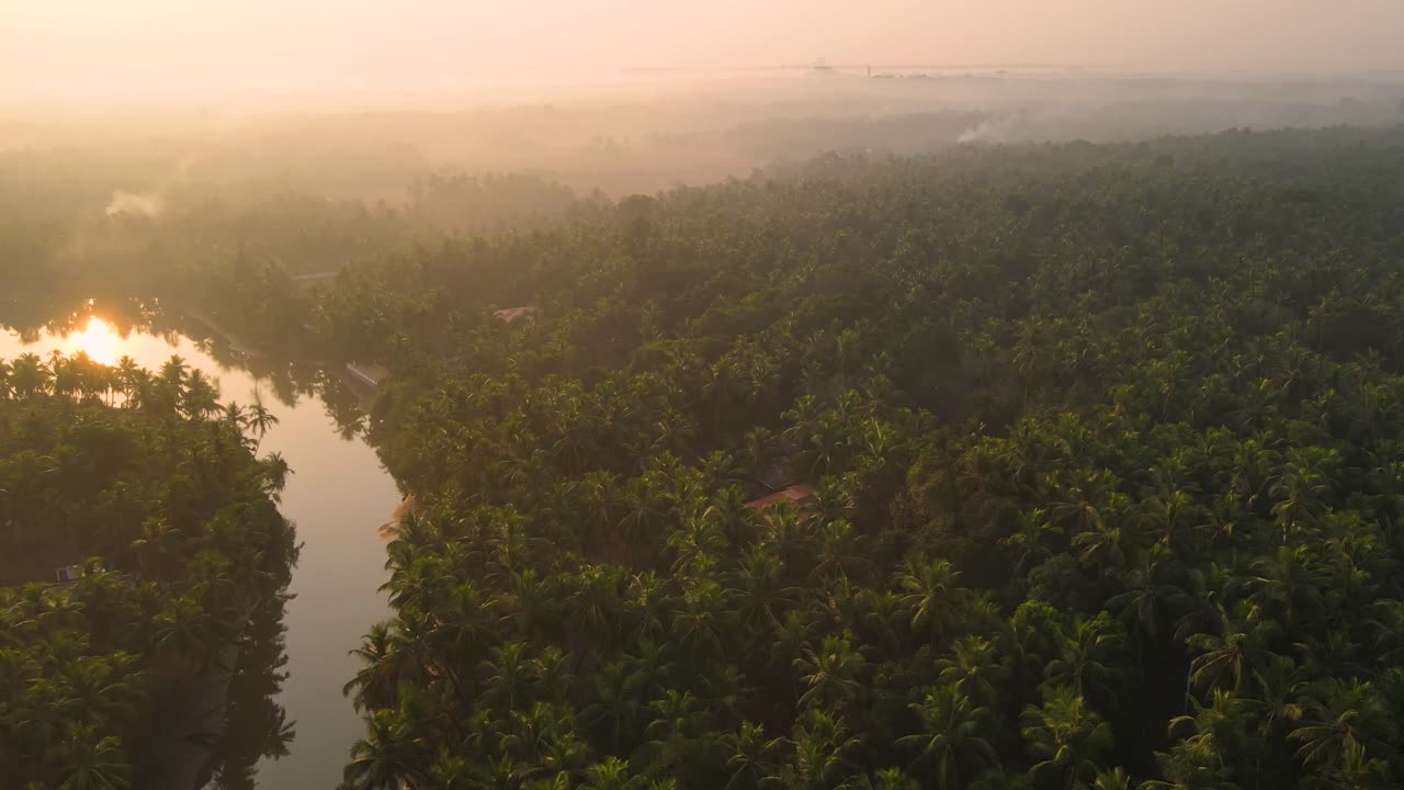 amanecer sobre un río tropical y un bosque de palmeras