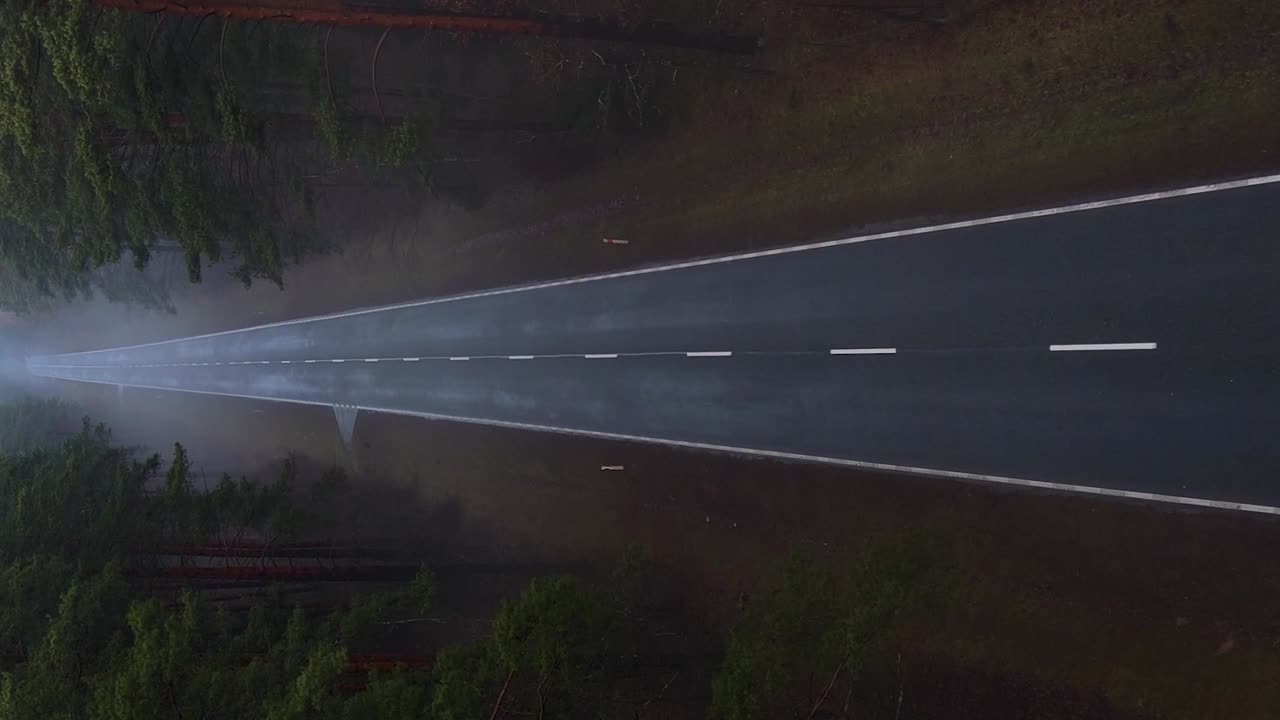 dolly vertical aérea disparada sobre el camino de asfalto en el bosque brumoso con niebla - horror, concepto de paisaje oscuro